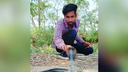 5,600 പാമ്പുകളെ പിടികൂടി, പത്ത് തവണ പാമ്പുകടിയേറ്റു; ഇദ്ദേഹത്തിനിത് ജീവിതം തന്നെ!