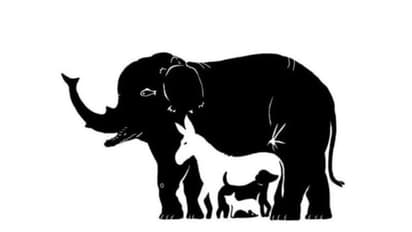 இந்த படத்தில் மறைந்திருக்கும் 13 விலங்குகளை கண்டுபிடிக்க முடியுமா.? முடிஞ்சா கண்டுபிடிங்க !!