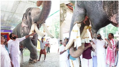 'പുതുപ്പള്ളി സാധു'വിനെ പരിചയപ്പെടുത്തി ചാണ്ടി ഉമ്മന്; 'ആന സ്നേഹികളുടെ ഇഷ്ട പാത്രങ്ങളില് ഒന്ന്'