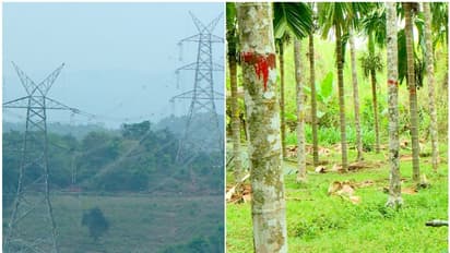 400 കെ വി വൈദ്യുത ലൈൻ: താഴെയുള്ള വിളകള്ക്കും ഭൂമിക്കും മാന്യമായ നഷ്ടപരിഹാരം വേണം, കർഷക പ്രതിഷേധം ശക്തം