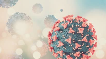 சீனாவிலும் புதிய கோவிட் மாறுபாடு இருப்பது உறுதி.. அறிகுறிகள் என்ன? இந்தியா கவலைப்பட வேண்டுமா?