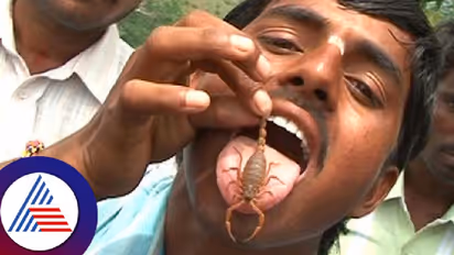 ನಾಗಪಂಚಮಿಯಂದು ಮಹಿಳೆಯರು ಹಾವಿಗೆ ಹಾಲೆರೆದರೆ, ಈ ಊರಲ್ಲಿ ಚೇಳುಗಳದ್ದೇ ಜಾತ್ರೆ ನಡೆಯುತ್ತೆ!  