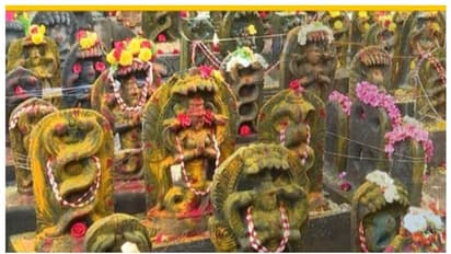 ನಾಗರ ಪಂಚಮಿಯಂದು ಹಾವುಗಳಿಗೆ ಹಾಲೆರೆಯೋದ್ಯಾಕೆ ಗೊತ್ತಾ ನಿಮಗೆ? 