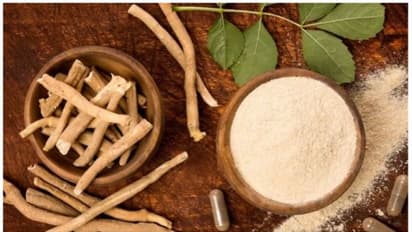 பல்வேறு நோய்களை குணமாக்கும்  "அமுக்கரா சூரணம்" பற்றி உங்களுக்கு  தெரியுமா?  