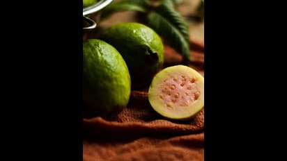 பலரும் புறக்கணிக்கும் கொய்யாப்பழத்தில் இவ்வளவு நன்மைகளா? கண்டிப்பா சாப்பிடுங்க..