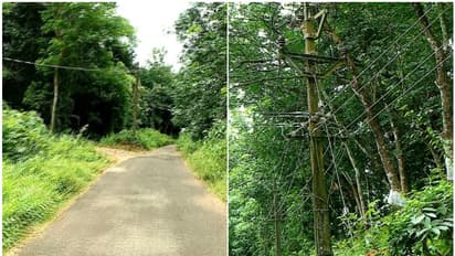 40 വർഷമായി ഇരുട്ടിൽ, ആലത്തൂർ എംപി ഹൈമാസ് ലൈറ്റ് അനുവദിച്ചു; സിപിഎം ഭരിക്കുന്ന പഞ്ചായത്ത് തടസമെന്ന് പരാതി