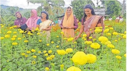 ഒഴിവുസമയങ്ങളിൽ വനിതാ പൊലീസ് ഉദ്യോ​ഗസ്ഥരുടെ പൂകൃഷി, സംഭവം വൻ വിജയം 
