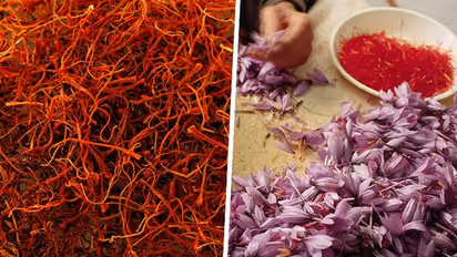 The Golden Elixir: 7 Remarkable skin benefits of Saffron