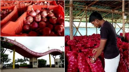  കയറ്റുമതി തീരുവ പിൻവലിക്കുന്നത് വരെ പിന്നോട്ടില്ല,നാസിക്കിലെ ഉള്ളി വ്യാപാരികളുടെ സമരം രണ്ടാം ദിവസം