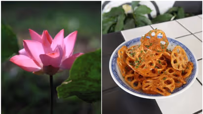 Lotus Root: 7 lesser-known benefits for your health and well-being