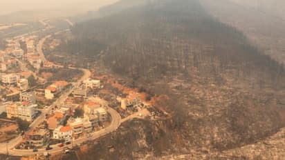 ദിവസങ്ങളായി അണയാതെ കാട്ടുതീ, ഗ്രീസില് വനമേഖലയില് 18 കത്തിക്കരിഞ്ഞ മൃതദേഹങ്ങള്