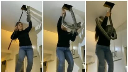 ഭയമോ അതെന്ത്? വെറും കൈകൊണ്ട് മച്ചില്‍ നിന്നും രണ്ട് കൂറ്റന്‍ പാമ്പുകളെ പിടിക്കുന്ന യുവതിയുടെ വീഡിയോ വൈറല്‍!