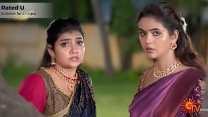 Kayal Serial: சன் டிவி 'கயல்' சீரியல் படைத்த முக்கிய சாதனை! குவியும் ரசிகர்கள் வாழ்த்து!