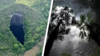 മുത്തശ്ശിക്കഥ പോലെ; 650 അടി താഴ്ചയിലൊരു സിങ്ക്ഹോൾ, അകത്ത് കൊടുംകാട്