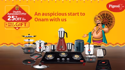 Reliable, Robust, and Rad! Pigeon, Your Trusted Partner for All Your Needs