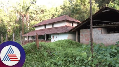 ಹಳದಿ ರೋಗಕ್ಕೆ ಊರು ಬಿಟ್ಟ ಮಲೆನಾಡ ರೈತರು; ಗ್ರಾಮಗಳಲ್ಲೀಗ ಸ್ಮಶಾನ ಮೌನ!