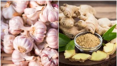 Medicinal bounty: 5 Indian ingredients that are powerhouse of benefits