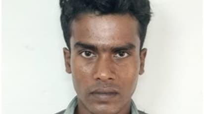 വീട്ടില്‍ അതിക്രമിച്ച് കയറി പെണ്‍കുട്ടിയെ ഉപദ്രവിച്ചു; അതിഥി തൊഴിലാളി അറസ്റ്റില്‍