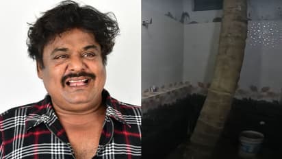 யார் சாமி இவரு... வீட்டுக்குள் 6 தென்னை மரம் வளர்க்கும் மன்சூர் அலிகான்; பாத்ரூம்லயும் ஒன்னு இருக்காம்