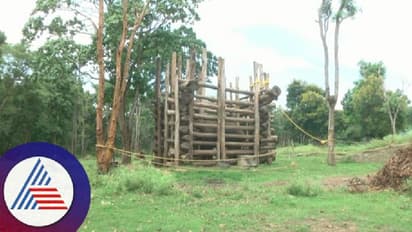 ಮನೆ ಅಂಗಡಿಗಳಿಗೆ ನುಗ್ಗಿ ಬೆಲ್ಲ, ಬಾಳೆಹಣ್ಣು ಲೂಟಿ; ಕೊನೆಗೂ ಖೆಡ್ಡಾಕ್ಕೆ ಬಿದ್ದ ಟ್ರೈ ಜಂಕ್ಷನ್ ಕಿಂಗ್ 