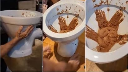 इस रेस्टोरेंट में टॉयलेट में परोसी जाती है आइसक्रीम, बड़े मजे से ग्राहक उठाते हैं लुत्फ