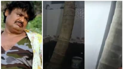 വീട്ടിനുള്ളില്‍ ബാത്ത് റൂമില്‍ പോലും തെങ്ങ് വളര്‍ത്തി നടന്‍ മന്‍സൂര്‍ അലി ഖാന്‍ ; കാരണം ഇതാണ്