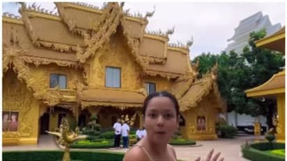 ഒറ്റനോട്ടത്തില് ഒരു കൊട്ടാരം, എന്നാലതൊരു 'ശുചിമുറി' മാത്രം; വൈറലായി ഒരു വീഡിയോ !