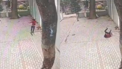 ജയിലിന്റെ 40 അടി ഉയരമുള്ള മതില് ചാടി ബലാത്സംഗ കേസിലെ പ്രതി; വീഡിയോ പുറത്ത്