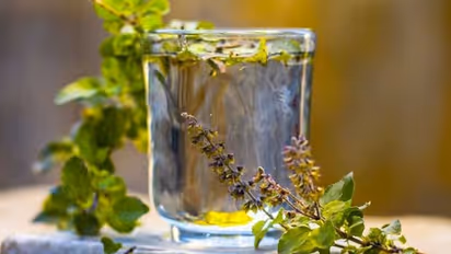 Health hacks: 5 surprising benefits of Tulsi Water