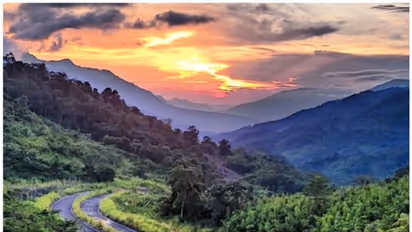 ജതിംഗ; വെളിച്ചം തേടി പറന്ന് ആത്മഹത്യ ചെയ്യുന്ന പക്ഷികളുടെ ഗ്രാമം