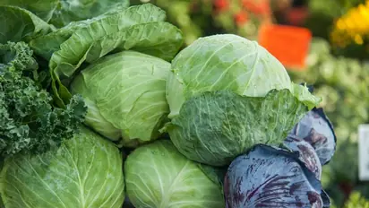 Explore the myriad health benefits of cabbage 