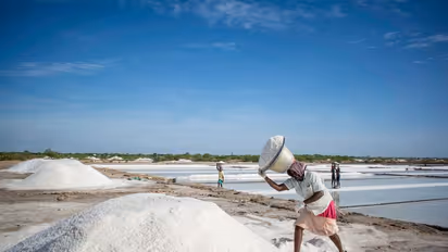 தூத்துக்குடியில் பொய்த்துப்போன பருவமழை; வழக்கத்தை விட 20% அதிகரித்த உப்பு உற்பத்தி