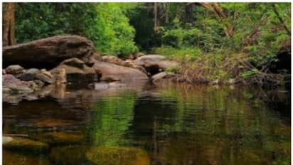 ഇക്കോ ടൂറിസം സെന്ററിൽ ഒഴുക്കിൽപ്പെട്ട് കാണാതായ യുവതി മരിച്ചു