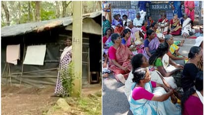 ഒന്നര വർഷം മുൻപ് തീരുമാനമായി, പക്ഷേ, സർക്കാർ ഉറപ്പുകൾ എല്ലാം പാഴ്വാക്കായി; വീണ്ടും സമരവുമായി അരിപ്പ സമരസമിതി