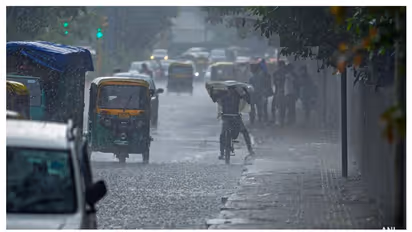 Kerala rain update: Heavy rains continue to lash several districts; IMD issues yellow, orange alerts