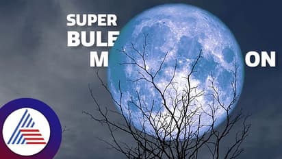 Super Blue Moon 2023: ಇಂದು ಆಗಸದಲ್ಲಿ ಮೂಡಲಿದೆ ಸೂಪರ್ ಬ್ಲೂ ಮೂನ್; ಚಂದ್ರನ ಕಾಂತಿ ನಿಮ್ಮ ಮೇಲೆ ಯಾವ ಪರಿಣಾಮ ಬೀರಲಿದೆ?