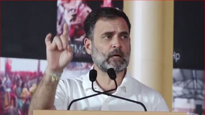 'No matter what they do...': Rahul Gandhi on upcoming Assembly elections, cites Karnataka Congress' challenges