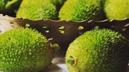 Health Benefits of Kantola: From Heart Health to Skin Vitality, discover this nutrient-packed vegetable