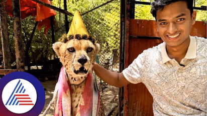 ‘Cheetah is the new King of Jungle’: Dr Bro’s viral humorous video