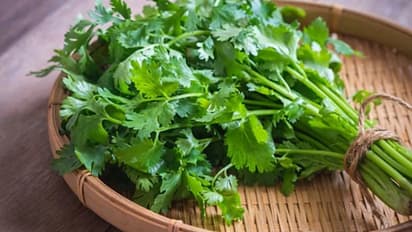 മല്ലിയില ഇഷ്ടമല്ലേ? കഴിച്ചോളൂ കെട്ടോ... ഗുണങ്ങള് പലതാണ്...