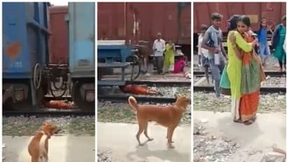 ഓടുന്ന ഗുഡ്സ് ട്രെയിനിന് അടിയില് പാളത്തിന് നടുവിലായി കിടക്കുന്ന സ്ത്രീയുടെ വീഡിയോ വൈറല് !