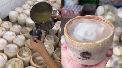 ഇളനീര് കൊണ്ട് ഇങ്ങനെയൊരു സംഗതി തയ്യാറാക്കുന്നത് കണ്ടിട്ടുണ്ടോ? വീഡിയോ...