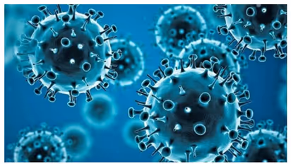 Expert's alarming warning! Disease X poses threat deadlier than Covid-19; could kill 50 million people