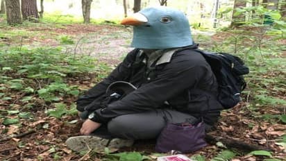 വർഷം മുഴുവനും പക്ഷി മാസ്കും ധരിച്ച് ഒരു മനുഷ്യൻ കാട്ടിൽ, കാരണം... 