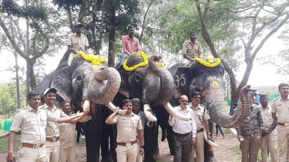 ದುಬಾರೆ ಸಾಕಾನೆ ಶಿಬಿರದಿಂದ ನಾಡಹಬ್ಬ ದಸರಾಕ್ಕೆ ಹೊರಟ ಕೊಡಗಿನ ಗಜಪಡೆ
