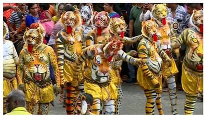 തൃശ്ശൂരിൽ ഇന്ന് പുലികളിറങ്ങും; മെയ്യെഴുത്ത് തുടങ്ങി, നഗരവീഥികൾ കീഴടക്കാൻ പെൺപുലികളും