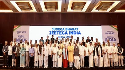 Sharad Pawar, Tejashwi, Raghav Chadha among key members of INDIA's coordination panel