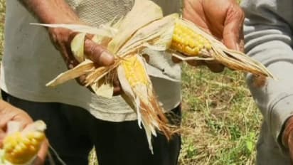 'ದಕ್ಷಿಣ ಕಾಶ್ಮೀರ' ಖ್ಯಾತಿಯ ಕೊಡಗಿನಲ್ಲೀಗ ಭೀಕರ ಬರ; ಬಿರುಕು ಬಿಟ್ಟ ನೆಲ!