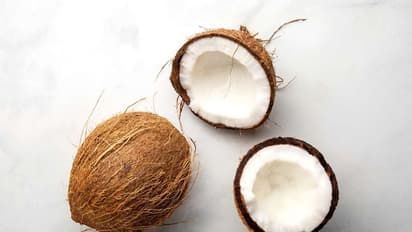 World Coconut Day 2023 : തേങ്ങയുടെ ഈ ആരോ​ഗ്യ​ഗുണങ്ങൾ അറിയാതെ പോകരുത്