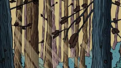 ಫೋಟೋದಲ್ಲಿರೋ ಗೂಬೆ ಹತ್ತೇ ಸೆಕೆಂಡಲ್ಲಿ ಪತ್ತೆ ಹಚ್ಚಿದ್ರೆ ನಿಮ್ಗೆ ಹದ್ದಿನ ಕಣ್ಣಿದೆ ಎಂದರ್ಥ